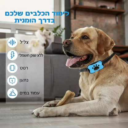 Barkli™- הקולר החכם נגד נביחות 