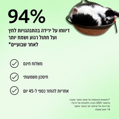 משטח הגירוד הטבעי של ברקלי | הכירו את הטריטוריה הטבעית הראשונה לחתולי בית שמבוססת מחקר